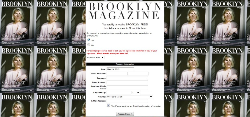 Free Brooklyn Magazine1