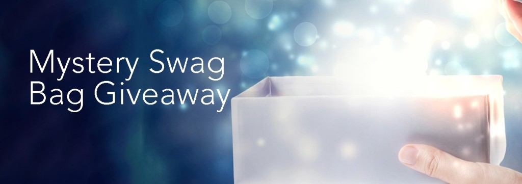 Mystery Swag Bag Giveaway at PROS Dreamforce