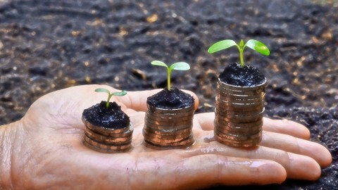 FREE Udemy Course on How to use sustainability to increase cashflow and income Pic