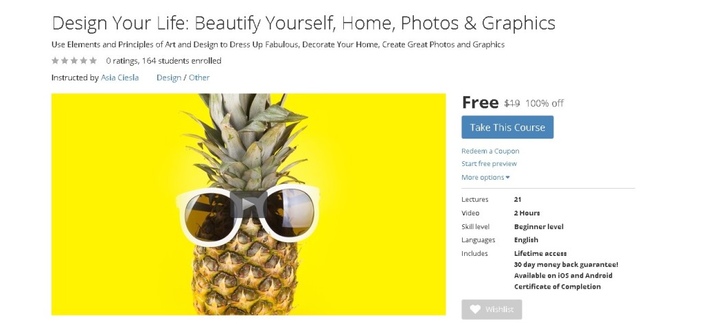 FREE Udemy Course on Design Your Life Beautify Yourself, Home, Photos & Graphics (2)