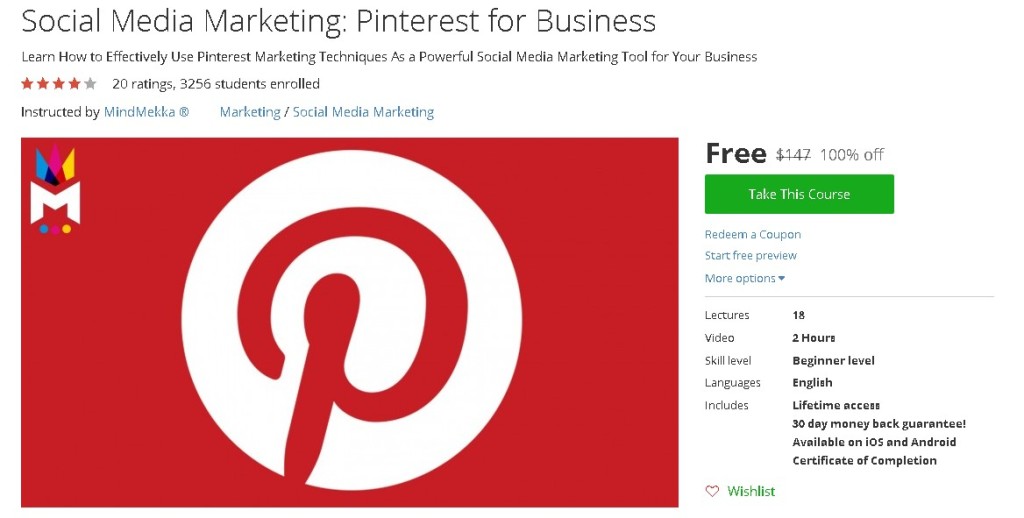 Free Udemy Course on Social Media Marketing Pinterest for Business