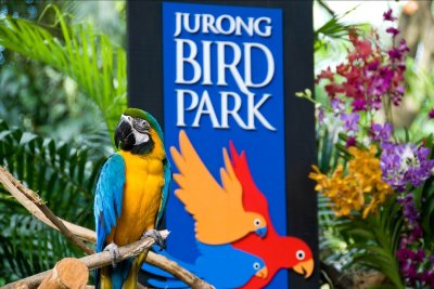 Birthday Special Free Admission to Jurong Bird Park Singapore