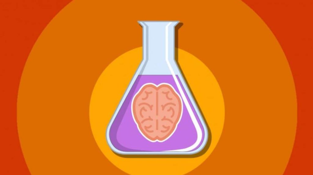 #Free Udemy Course on 5 Amazing Psychology Experiments