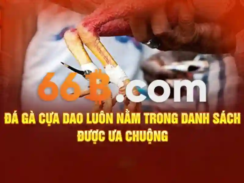 66b: Trải nghiệm Casino Trực Tuyến Đỉnh Cao năm 2026