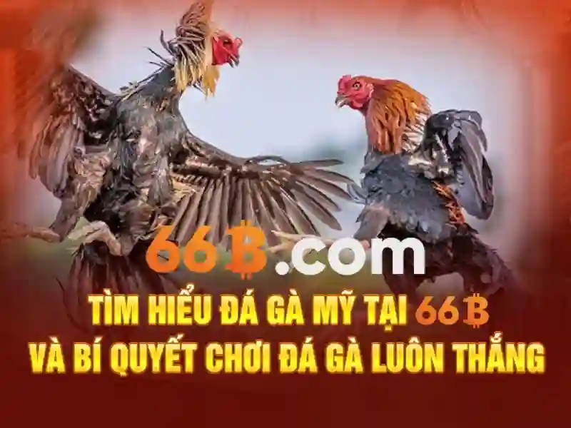 66B – Link Dự Phòng 66B Đảm Bảo Truy Cập Mượt Mà Cho Người Chơi Slot - 66B