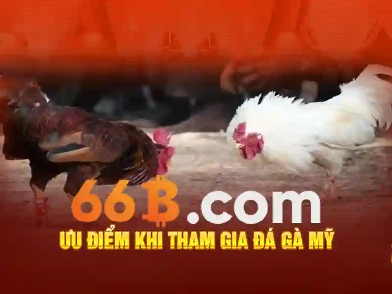  thưởng hấp dẫn - 66B
