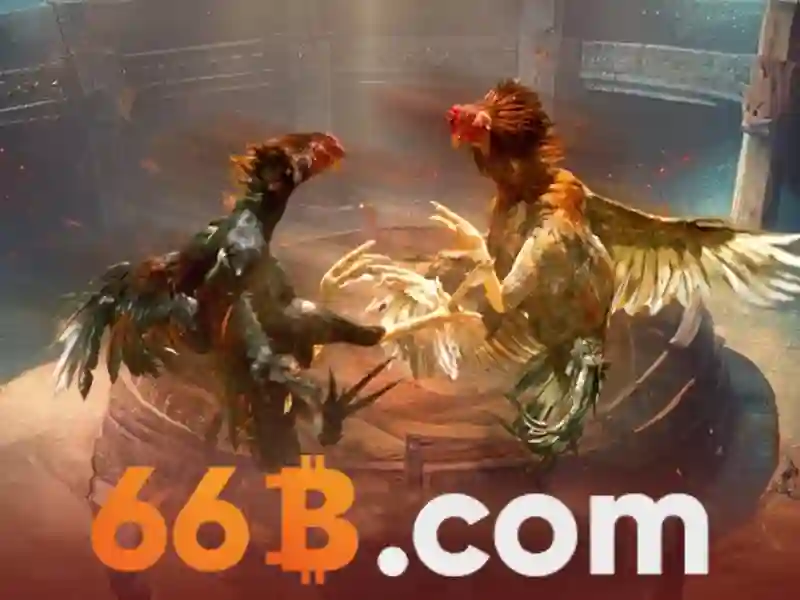 Hướng Dẫn Đăng Nhập 66B Đầy Đủ Và Chi Tiết Nhất Cho Cờ Vua 66B - 66B