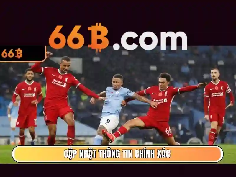 đánh giá 66b - 66B