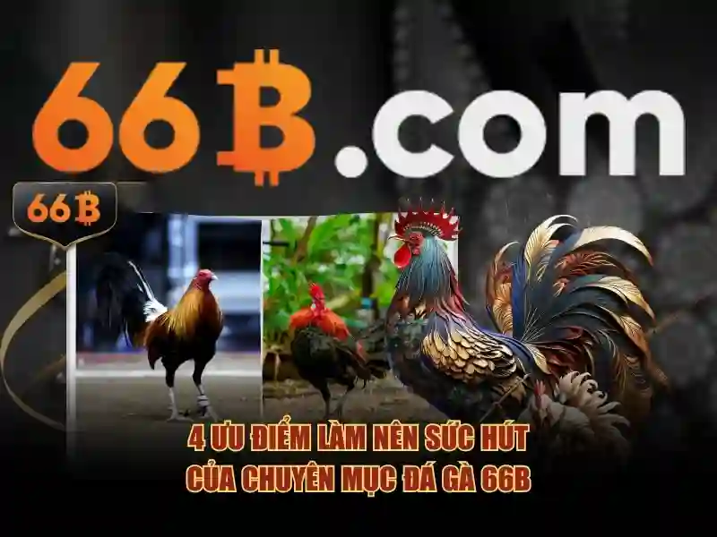 66b: Trải nghiệm Casino Trực Tuyến Đỉnh Cao năm 2026