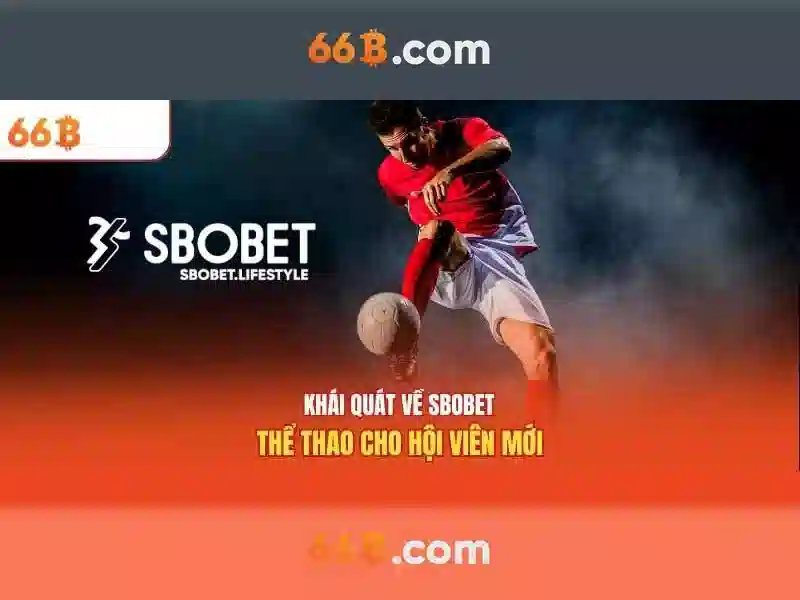  đăng ký 66b - 66B