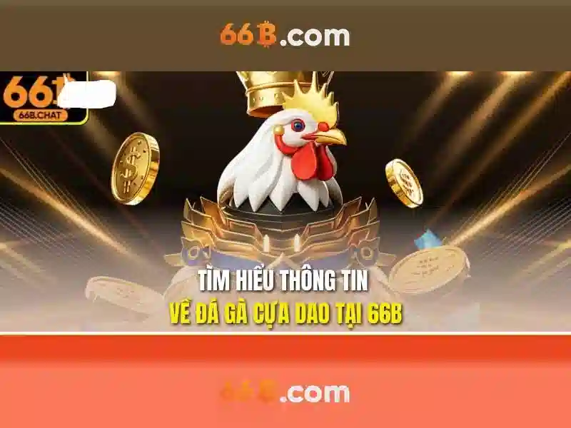  nhà cái 66b - 66B
