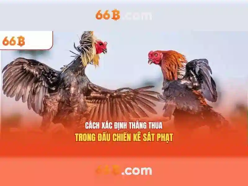 trải nghiệm Slot - 66B