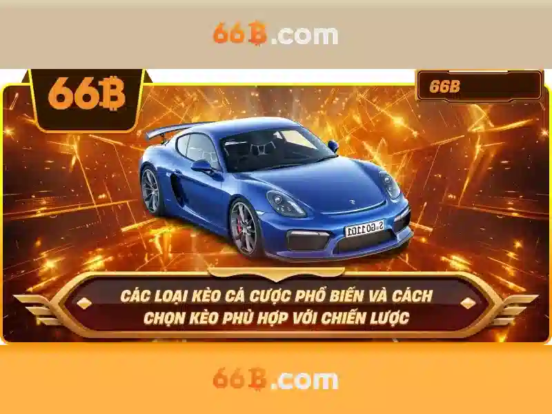  dịch vụ khách hàng - 66B