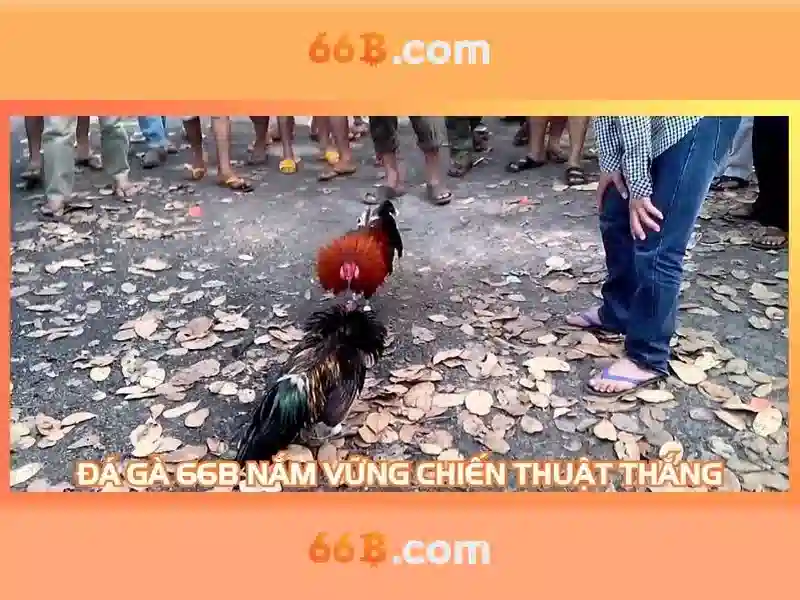 66b: Trải nghiệm Casino Trực Tuyến Đỉnh Cao năm 2026