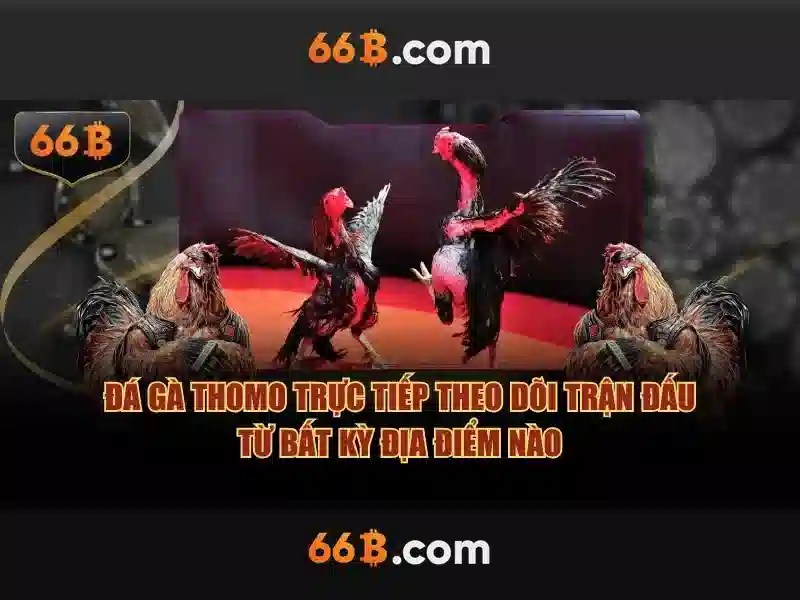 rút thưởng 66b - 66B