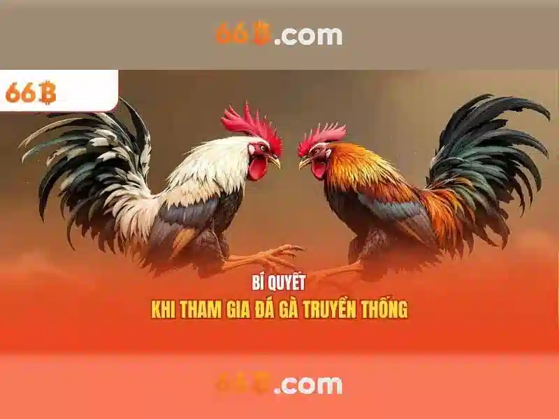  khuyến mãi 66B - 66B