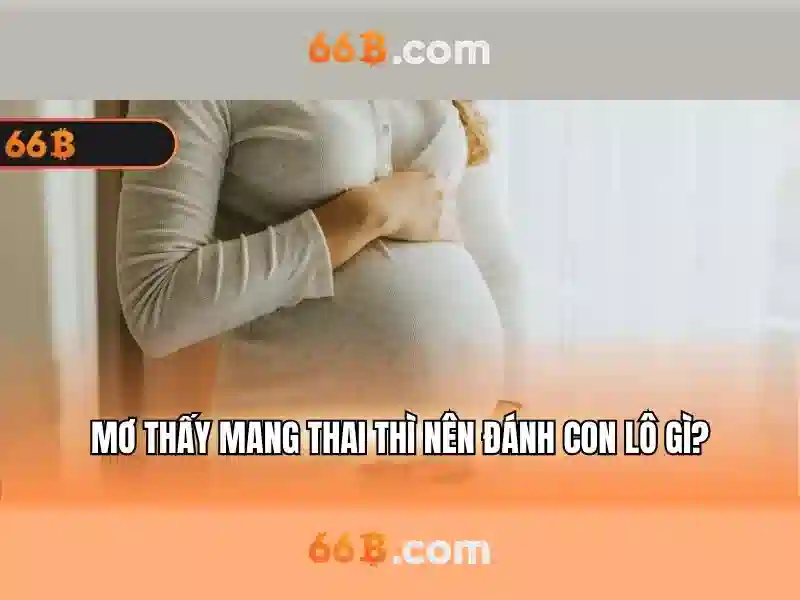  khuyến mãi 66B - 66B