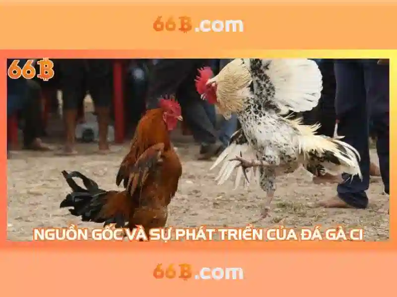 66B – Trải Nghiệm Cá Cược Slot Đỉnh Cao 2026 - 66B