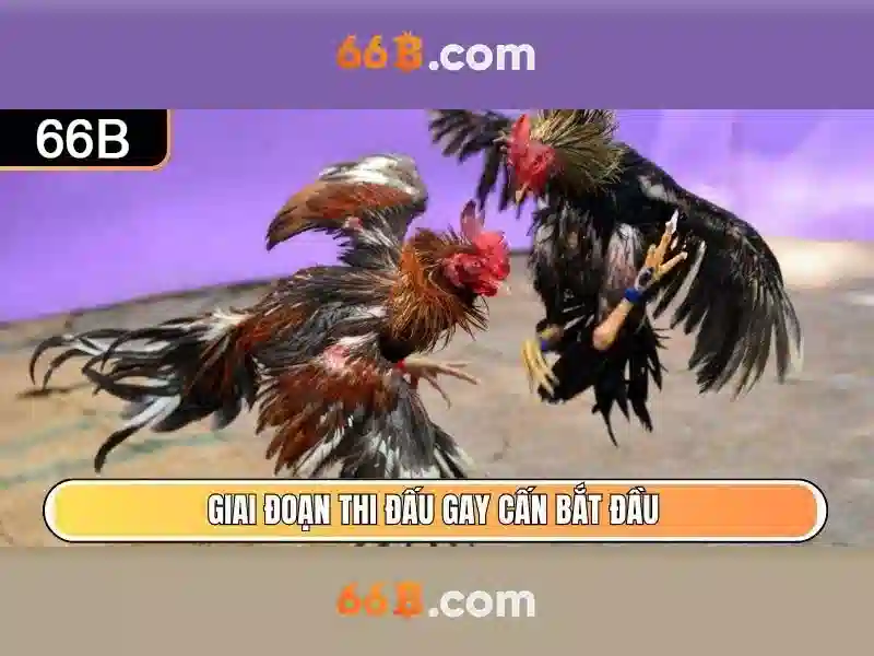 66b: Trải nghiệm Casino Trực Tuyến Đỉnh Cao năm 2026