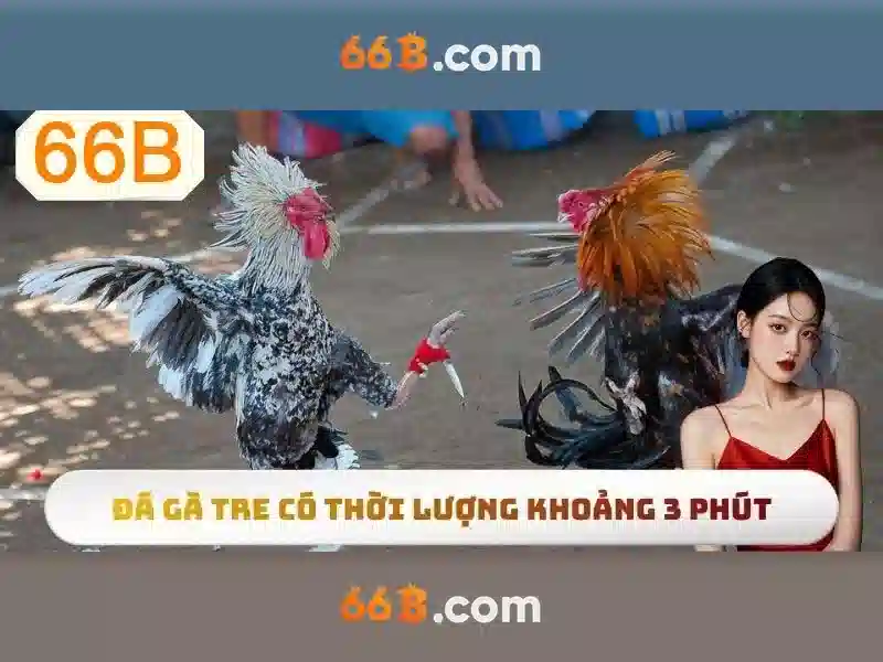 Quy Luật Slot 66B Tối Thượng – Khám Phá Chiến Lược Nhập Code 66B Hiệu Quả - 66B