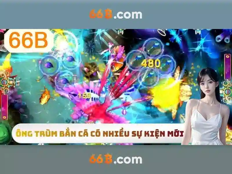 hướng dẫn 66B - 66B
