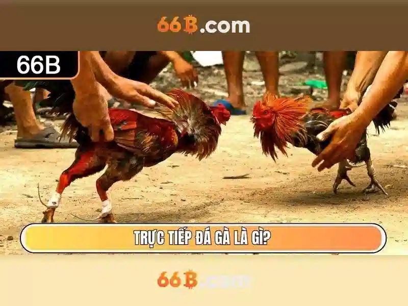 hỗ trợ đổi mật khẩu 66b - 66B