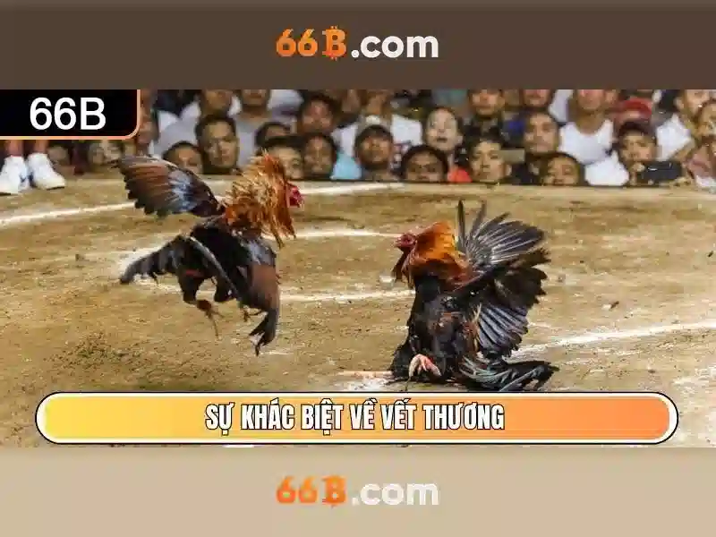 66B - Trải Nghiệm Slot Đỉnh Cao Với Giao Dịch Nhanh Chóng - 66B