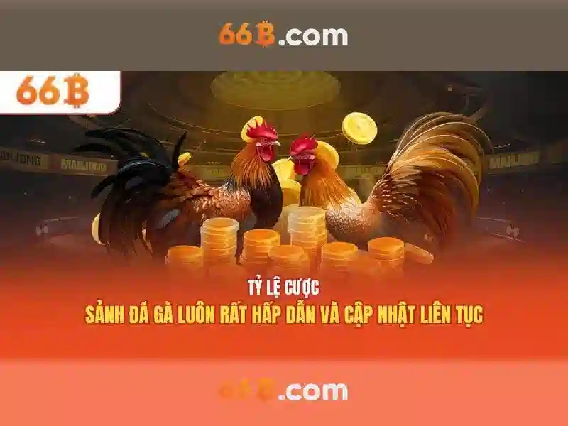 rút tiền nhanh - 66B