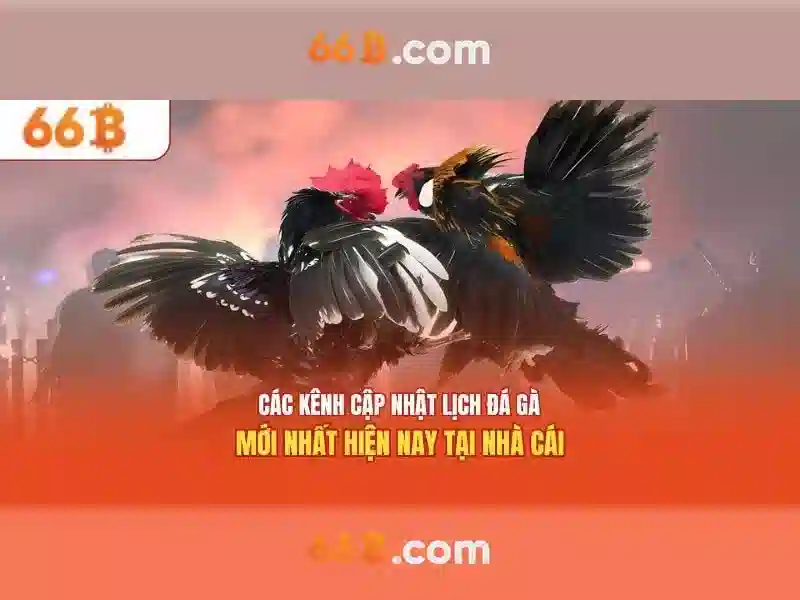  SLOT - 66B
