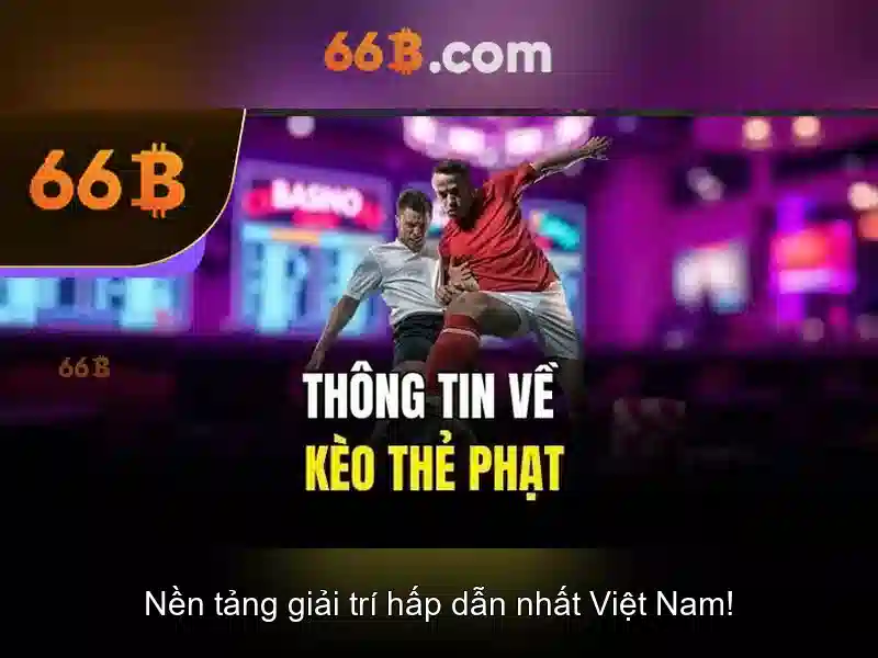 hỗ trợ 66b - 66B