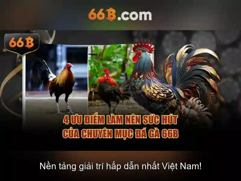 66b: Trải nghiệm Casino Trực Tuyến Đỉnh Cao năm 2026