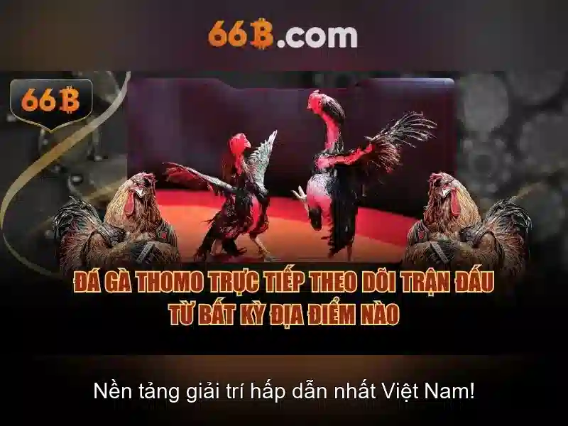 ưu đãi - 66B