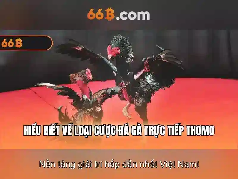 66B - 66B
