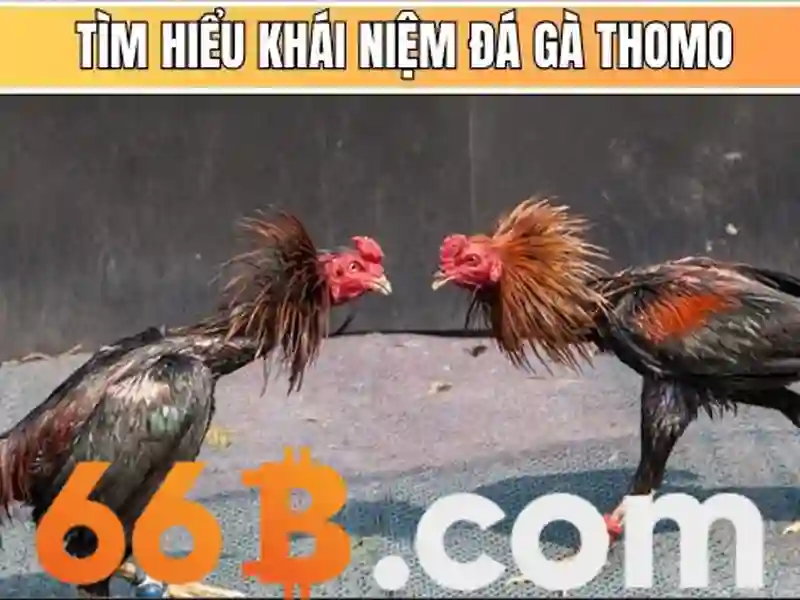  hướng dẫn tải apk - 66B